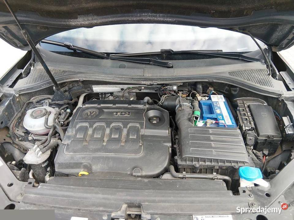 Volkswagen Tiguan 20 TDI SCR BlueMotion Tech DSG Mogilno