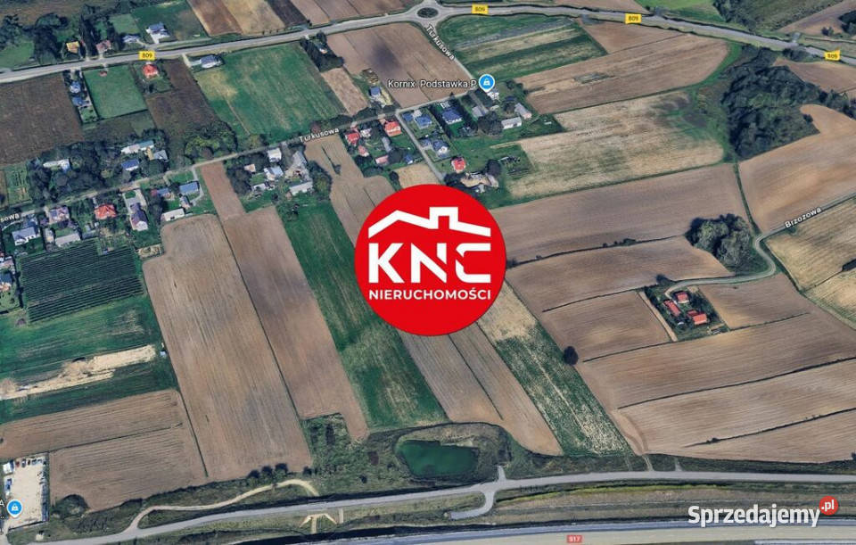 MARYSIN działka rolna o pow 8000 m