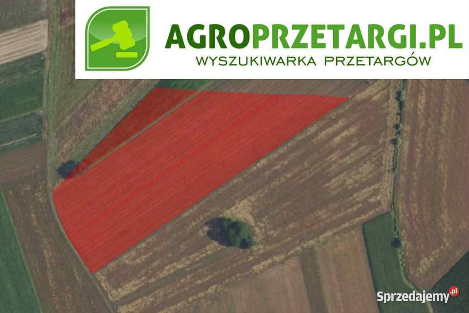Dzierżawa 385 ha gruntu rolnego rolna Grodzisk Mazowiecki
