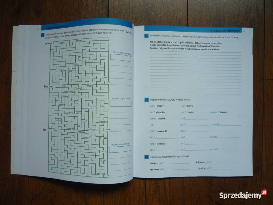 Ćwiczenia słownikowe ortograficzne i gramatyczne Szczecin