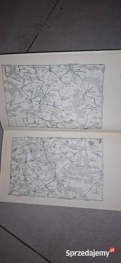 Wyżyna Krakowsko Częstochowska przewodnik 1 Antyki, Sztuka, Kolekcje Łęczyca