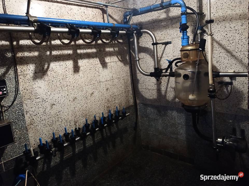 Dojarka przewodowa Alfa laval wielkopolskie Złotów