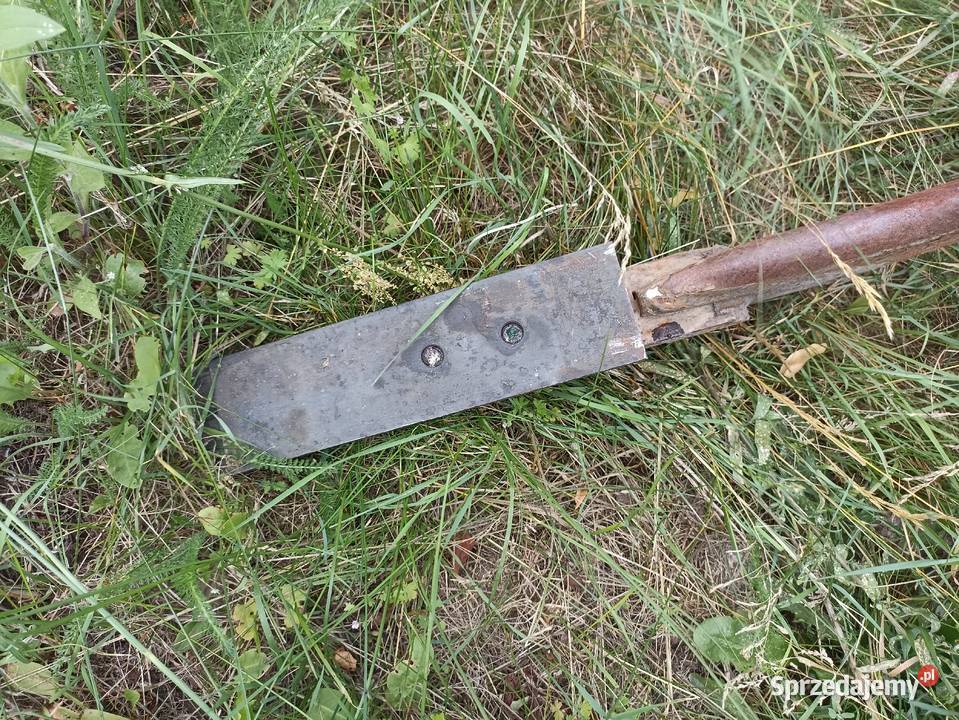Głębosz Askel 5łap Pługi Osówka