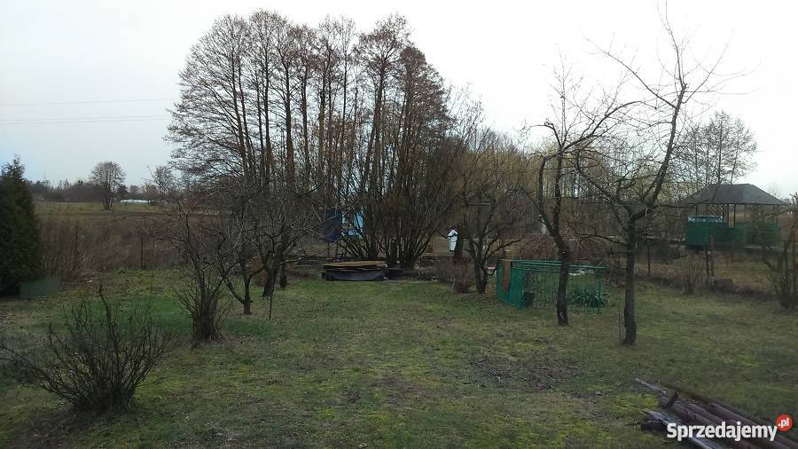 Dom drewniany do remontu asfalt sprzedam