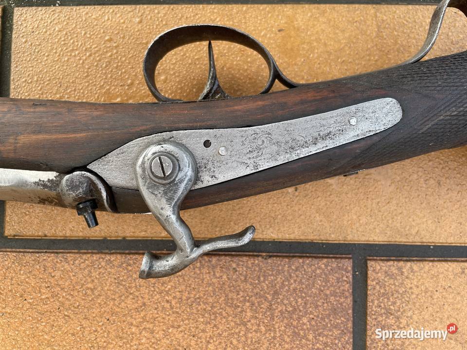 Ptaszniczka belgijska kapiszonowa Sporty strzeleckie i myślistwo zachodniopomorskie Czaplinek