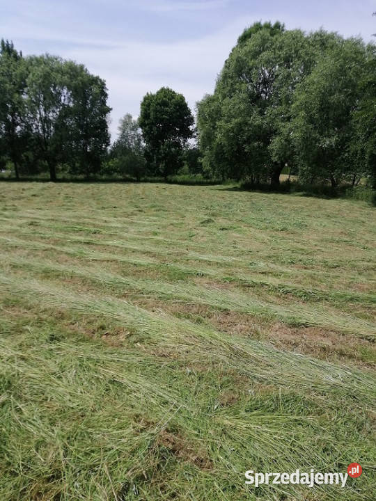 Sprzedam działkę budowlaną w Ropczycach Sprzedaż Ropczyce