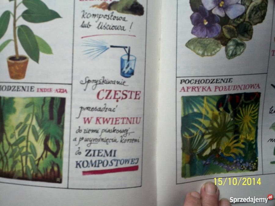 Razem ze słonkiem Maria Kownacka Gniezno