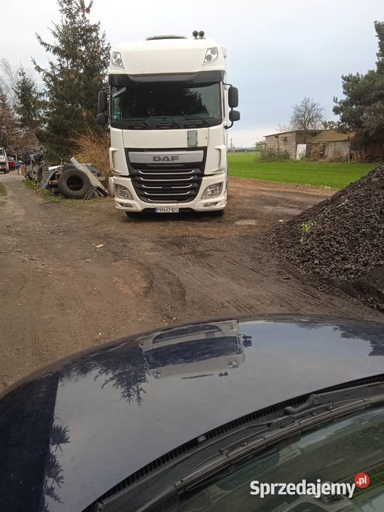daf xf 106 specjalny wielkopolskie Wilczyn sprzedam