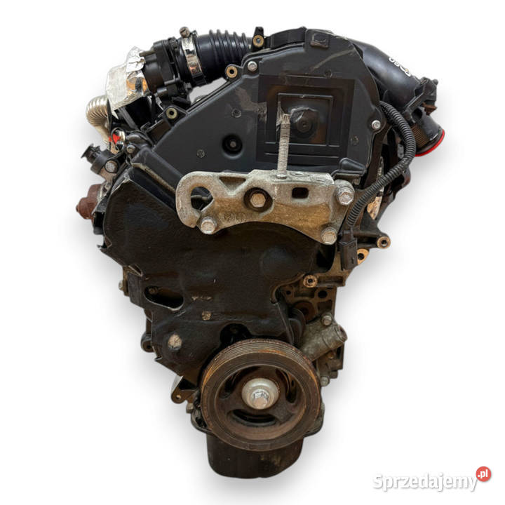 SILNIK TZJB Ford Fiesta VI VII MK7 16 TDCI 95 Chełm sprzedam