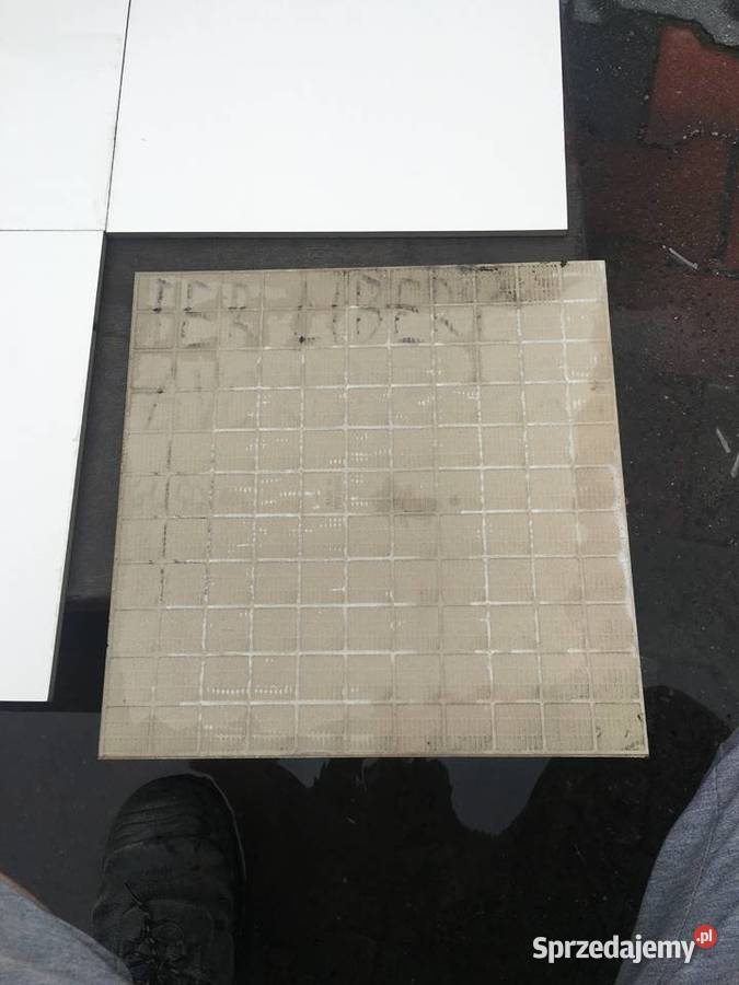 Terakota liberty avorio 32x32 firmy RICCHETTI Reguły