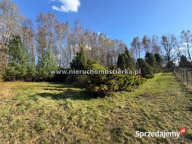 Działka 3750 metrów Wodzisław Śląski woda