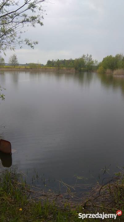 Staw rybny Szczodrów