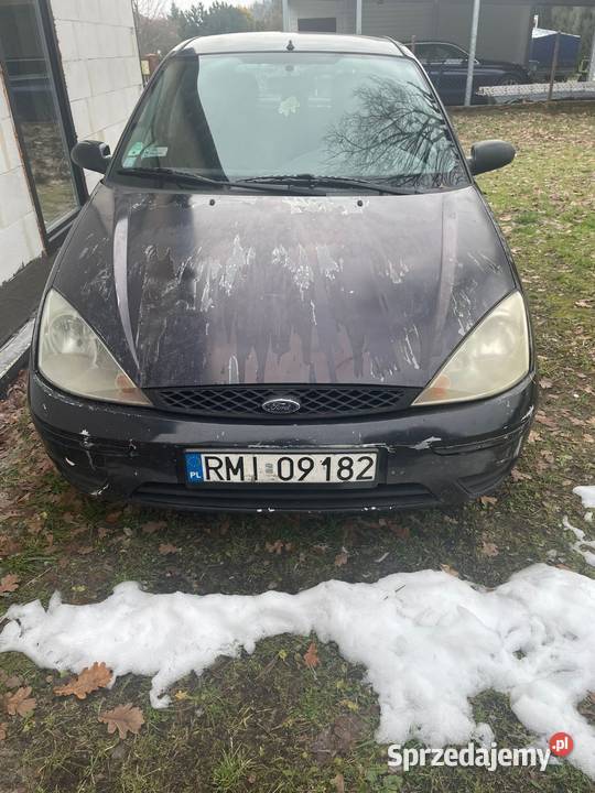 Ford Focus 2001 16 benzyna