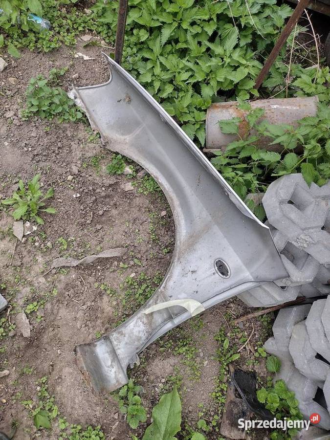 Błotnik Legacy 3 lubelskie