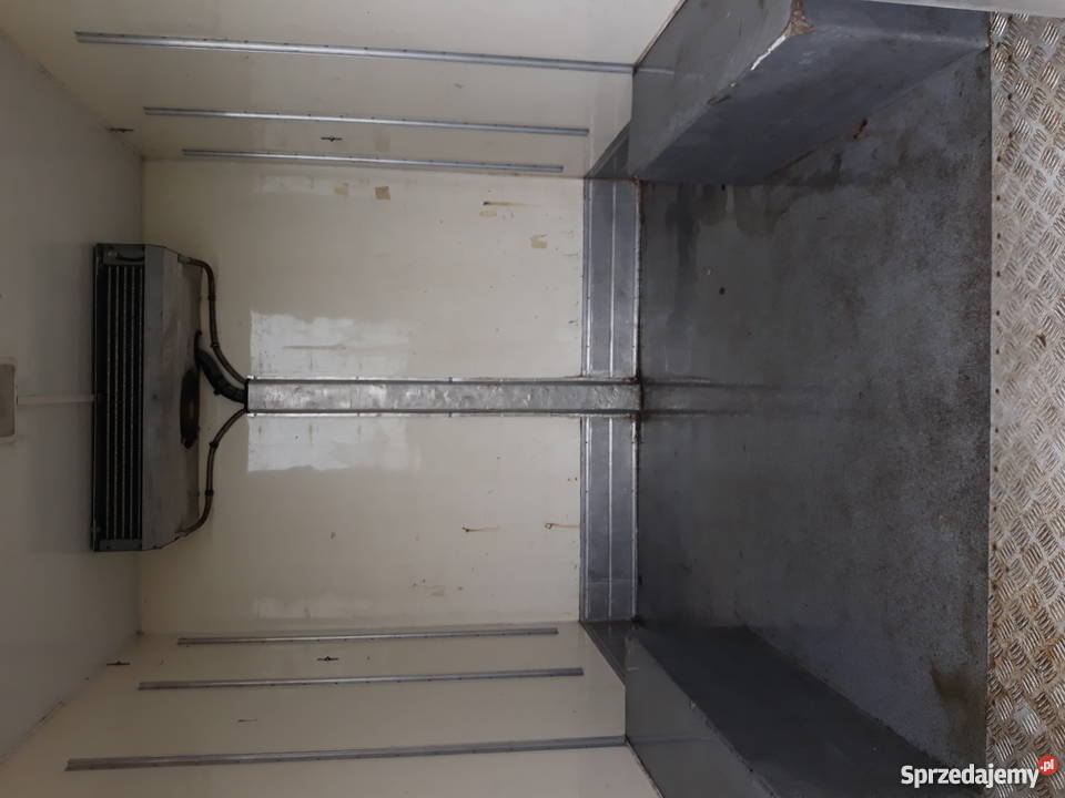 Citron Jumper 25D chłodnia Raciechowice