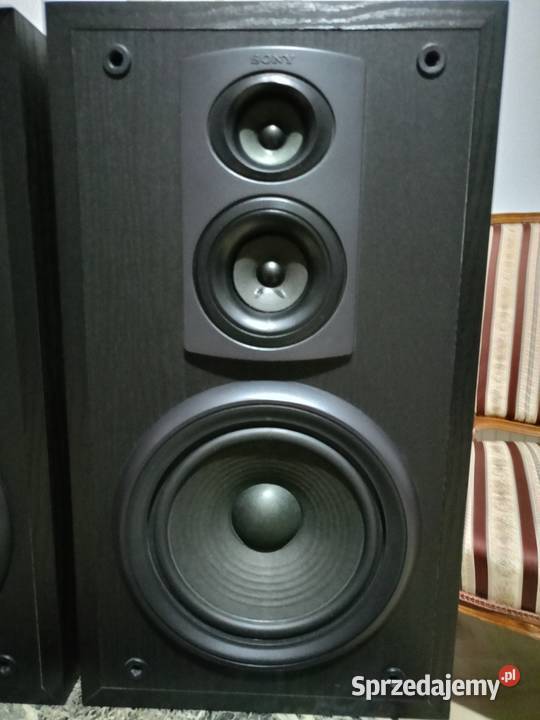 Kolumny SONY 120 Watt Drawski Młyn