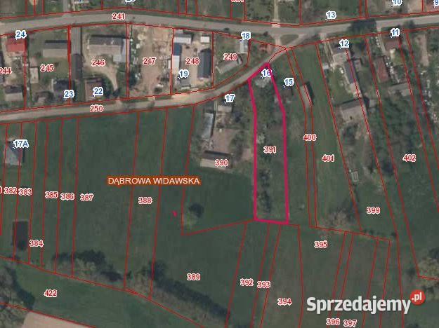 sprzedaży działki Dąbrowa Widawska 2500m2 2500m2