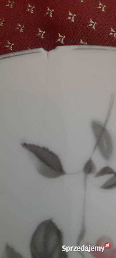Talerze obiadowe płaskie porcelanowe Rosenthal Pleszew sprzedam