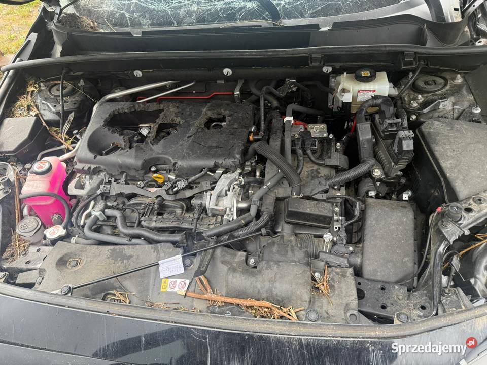 Toyota RAV4 25 Hybrid Executive 4x2 Słupca