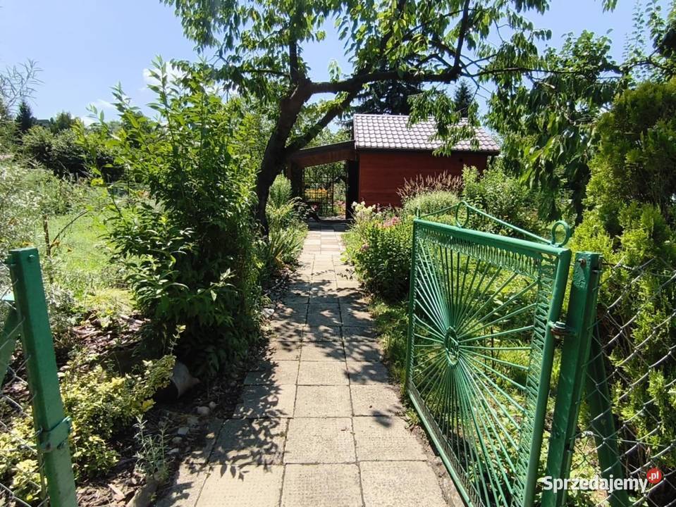 Urokliwa działka ROD Kopernik 400m2 Tarnów sprzedam