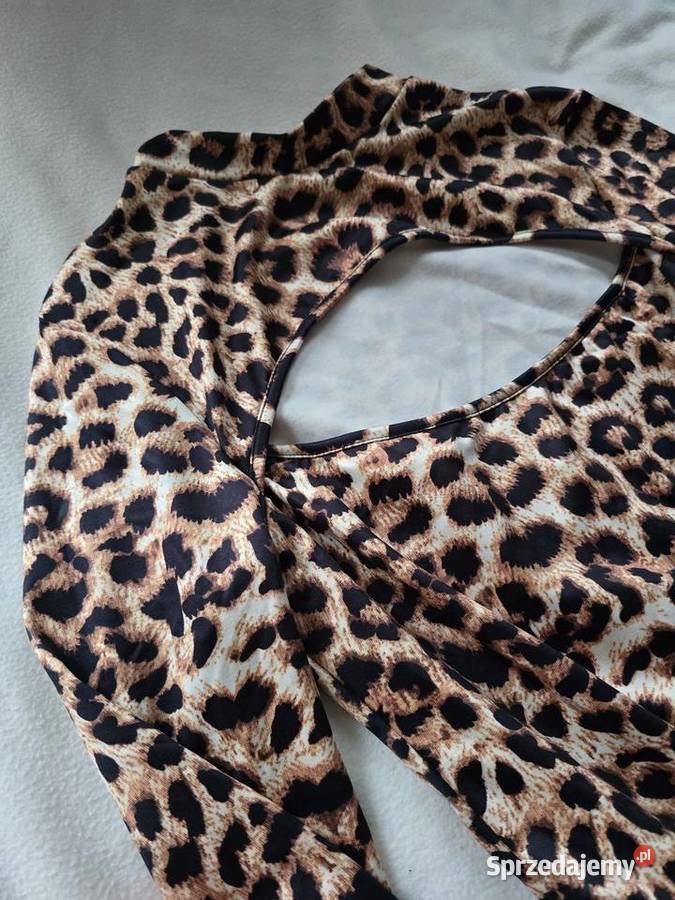 Body Nowe zachodniopomorskie