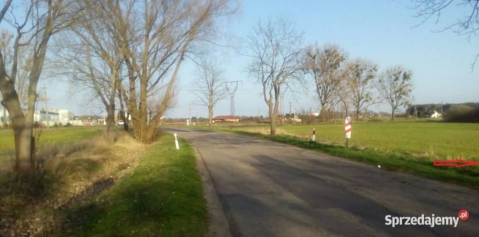 Działka budowlanoinwestycyjna 1900m kw Sprzedaż Wronki