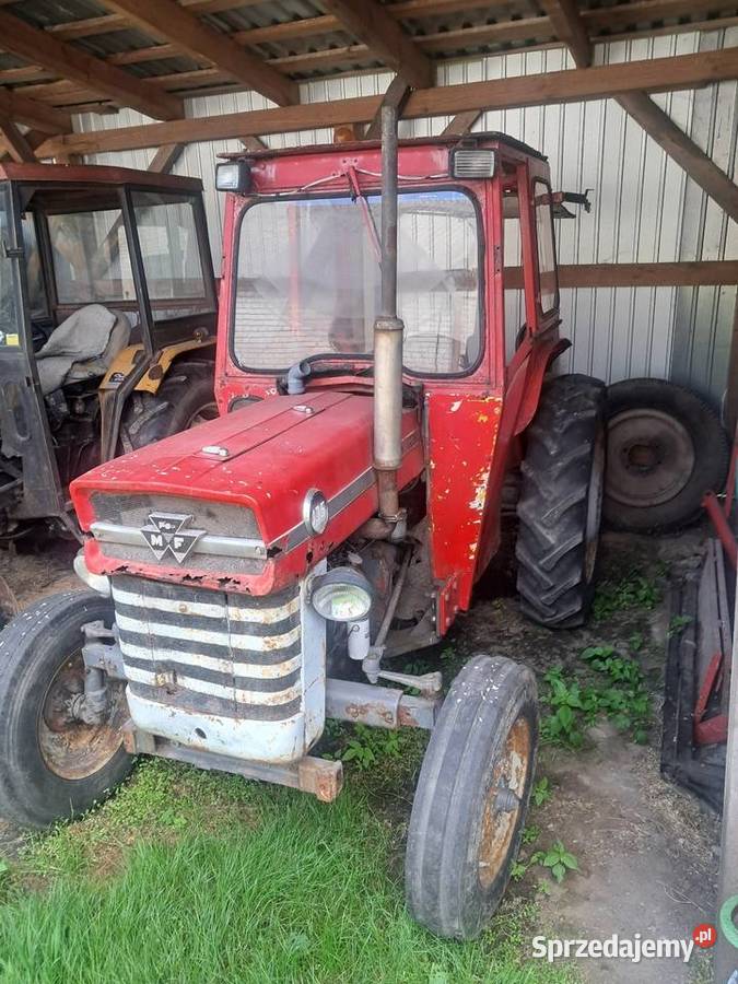 Massey ferguson 135 Klonownica Mała