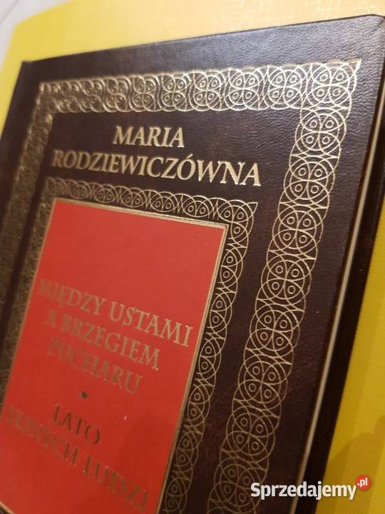 między ustami a brzegiem pucharu lato leśnych świętokrzyskie Kielce
