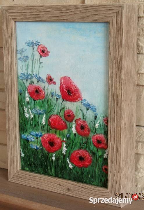 Łąka i maki Bychawka Trzecia