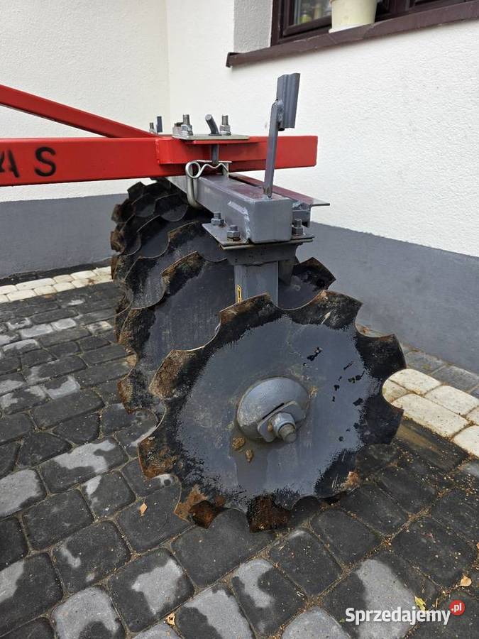 Talerzówka Kwas 2x8