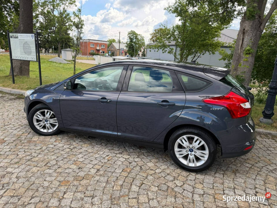 Ford Focus Ford Focus 16 TDCi DPF Champions nieuszkodzony Gostynin