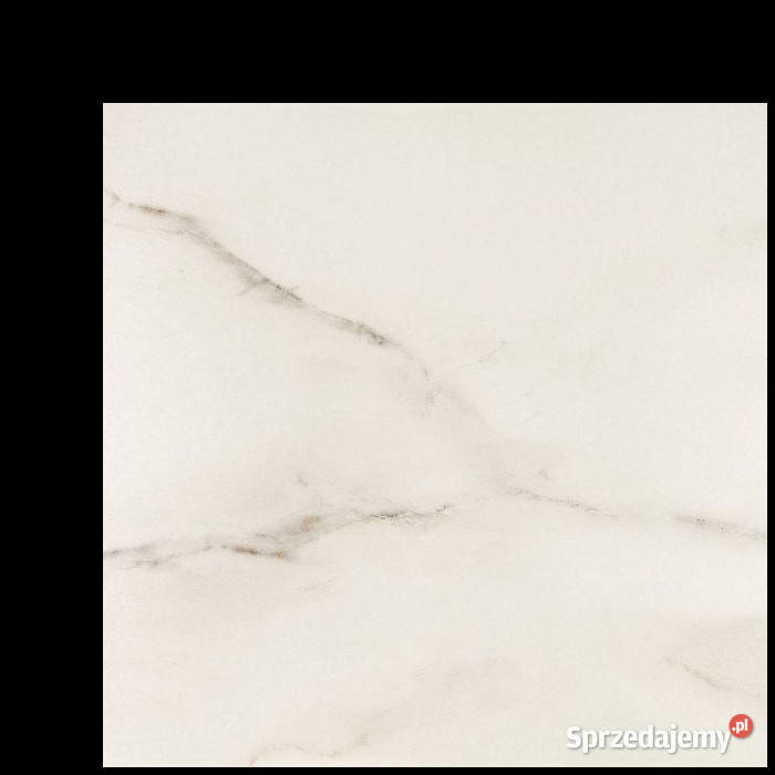 Płytka Carrara Polished 593 x 593 Opoczno zachodniopomorskie