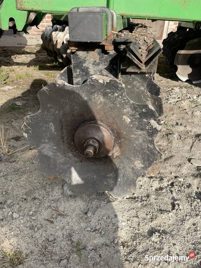 Brona Talerzowa Karol Brony lubelskie Tomaszów Lubelski