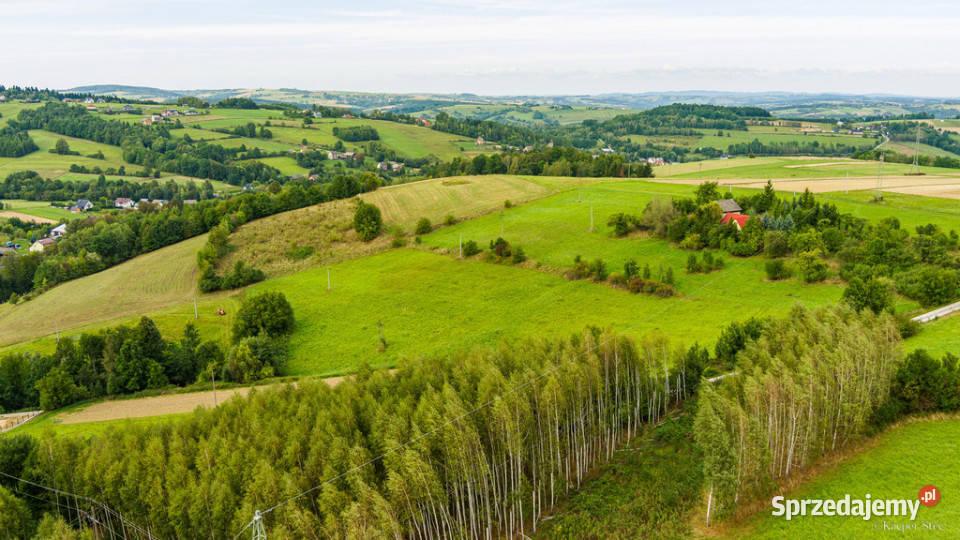Działka budowlana na sprzedaż w Krużlowej Wyżnej Sprzedaż małopolskie Krużlowa Wyżna