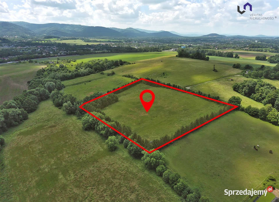 Działka Międzyrzecze Górne 25860m2 szambo sprzedam