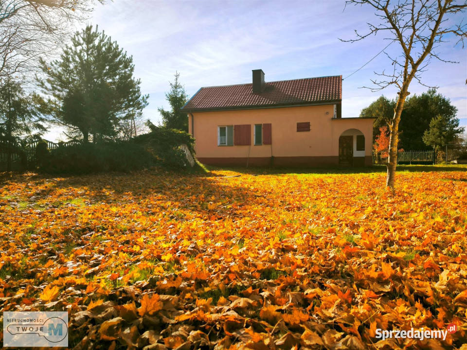 sprzedaży domu wolnostojącego Małogoszcz 100m2 2 piętra sprzedam