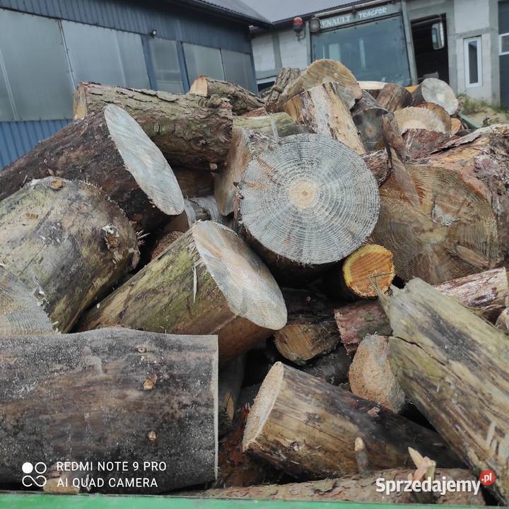 Drzewo opałowe lubelskie Tarnawatka