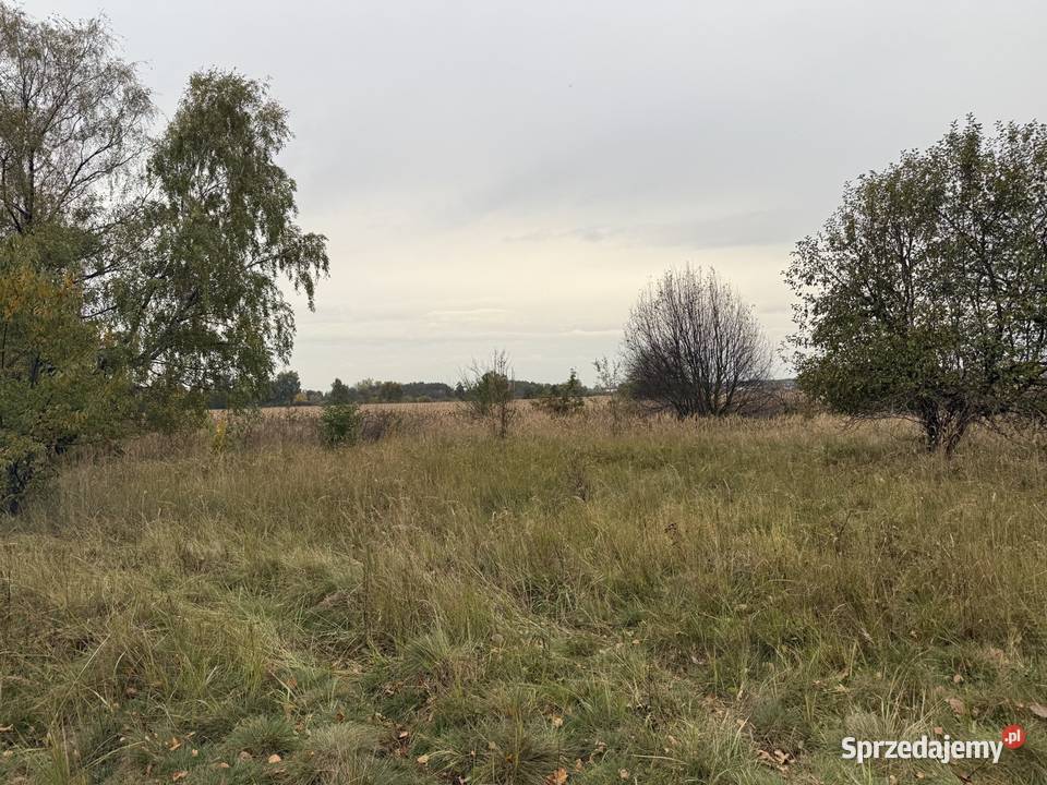 Działka rolna Baranów 5000m2
