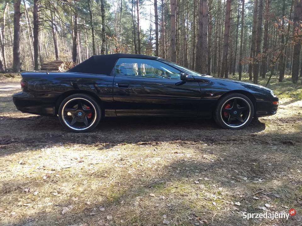 Chevrolet Camaro Cabrio 3791cm3 Strzałkowo