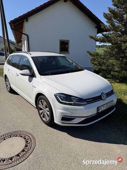 Vw Golf 7 15 Tsi 130 ACT Bluemotion garażowany Czarnków sprzedam
