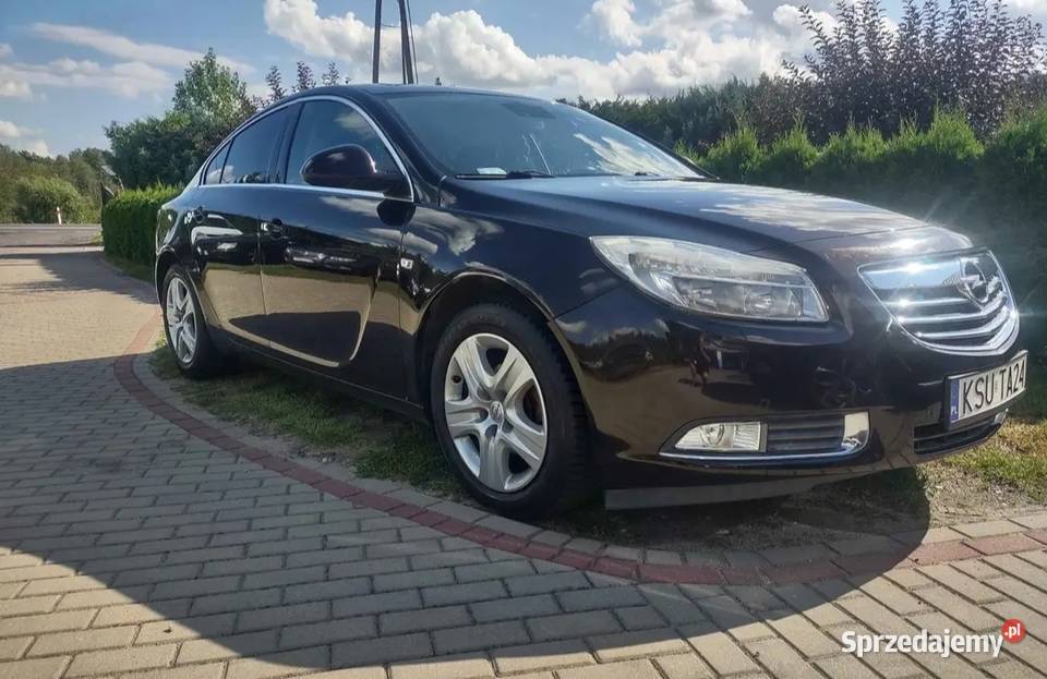 Opel Insignia 2011 Opel Wąbrzeźno