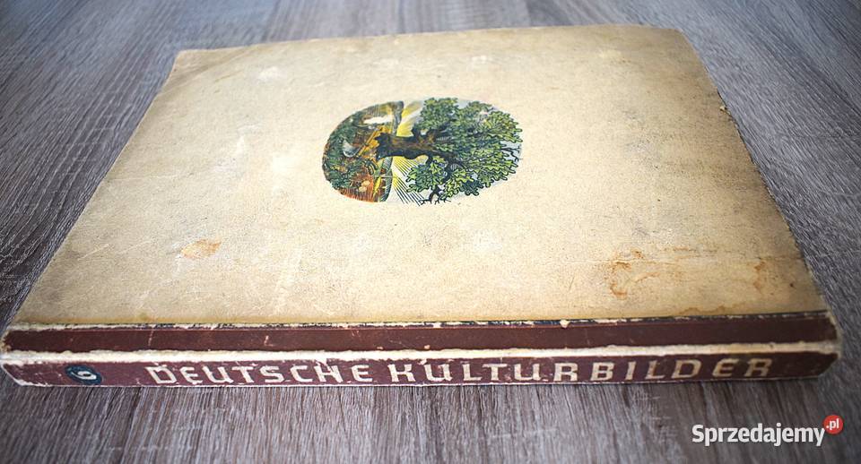 Historia w obrazkach zapisana duży album z roku Antykwariat