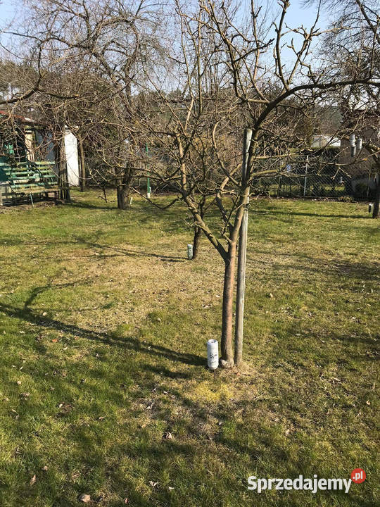 Sprzedam działkę ROD Oborniki sprzedam