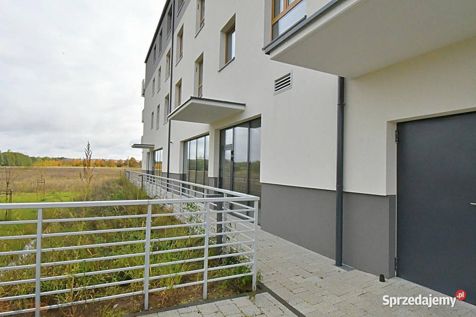 Lokal 6647m2 Wrocław Wynajem dolnośląskie