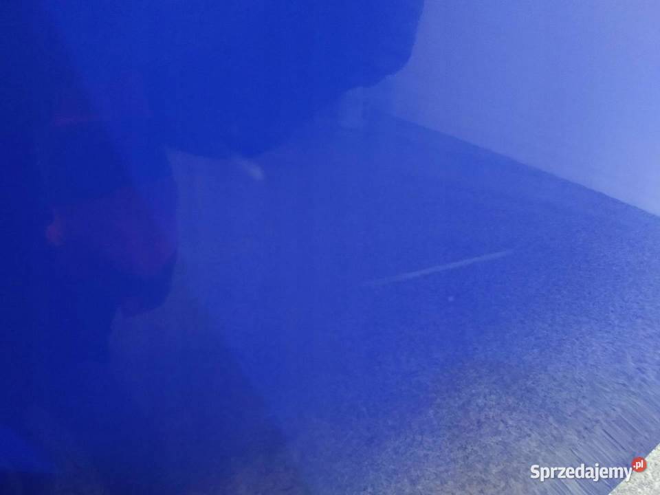 DRZWI PRAWE PRZÓD LV5F Skoda Fabia III 2014 świętokrzyskie