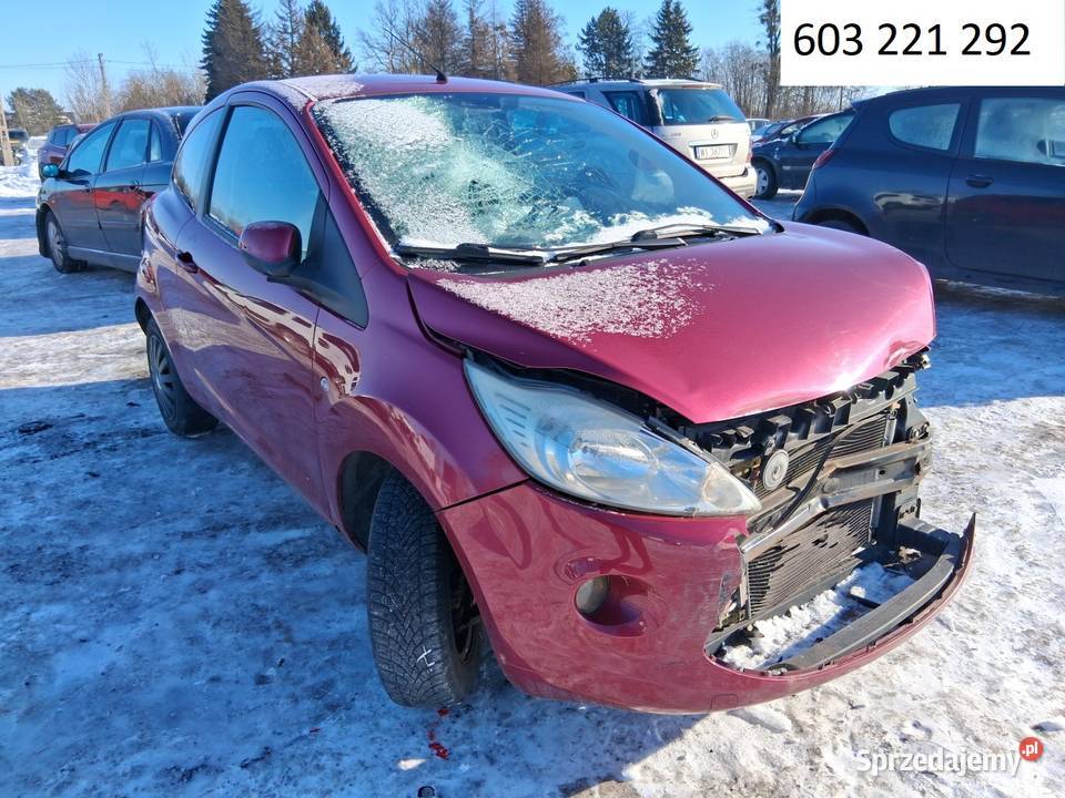 Ford KA 2009 12 benzyna uszkodzony Rok produkcji 2009 Ogrodzieniec