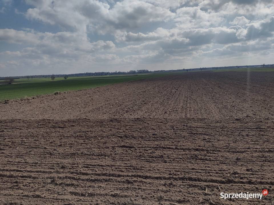 Siewnik zbożowy overum tive 7m Radzyń Podlaski