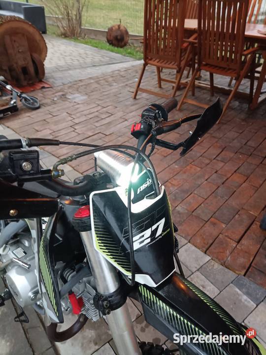 Asix xb 27 szuka nowego domu podkarpackie Domaradz