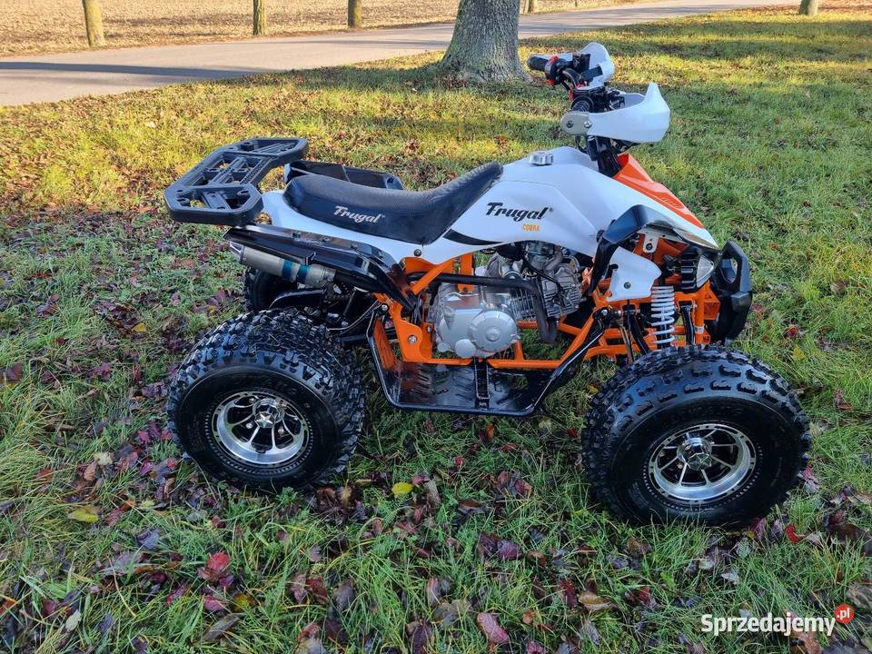 Quad Atv Frugal Cobra 125cc 11R Koła 8 Stan Nowy Kruszwica