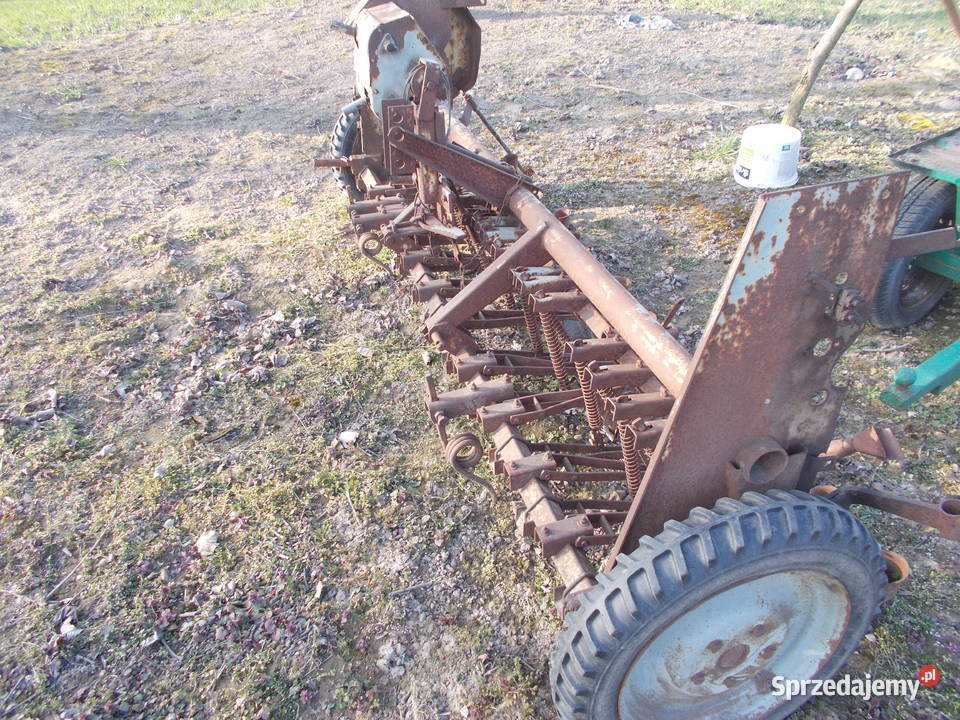 siewnik poznaniak Sochaczew